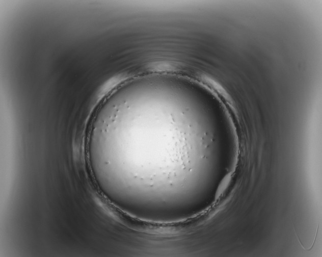 X0000086260986200704051259