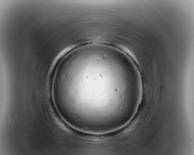 X0000086260987200704051259