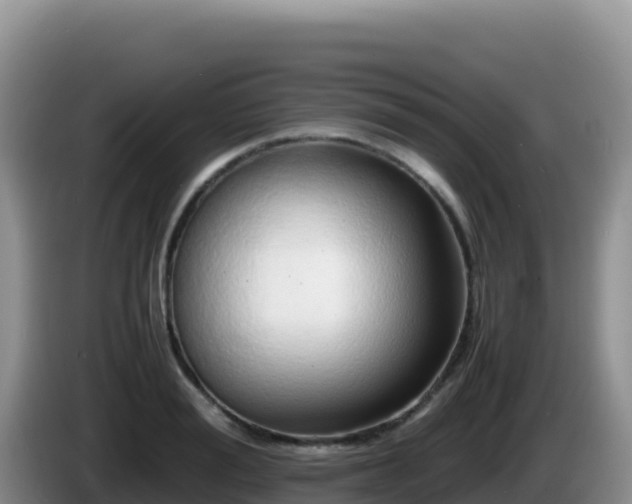 X0000086260988200704051258