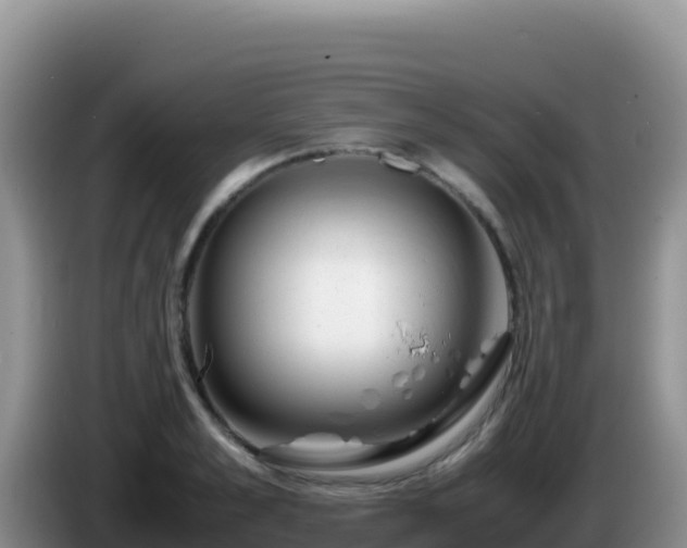 X0000086260989200704051258