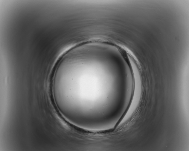 X0000086260991200704051258