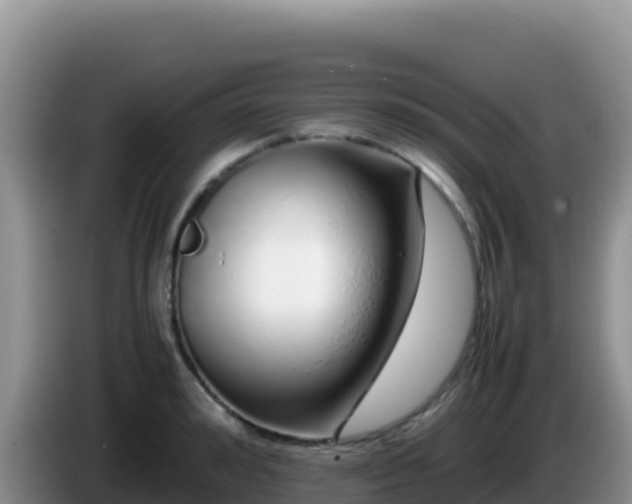 X0000086260992200704051258