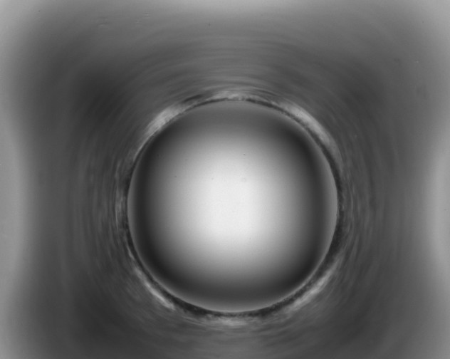 X0000086260993200704051258