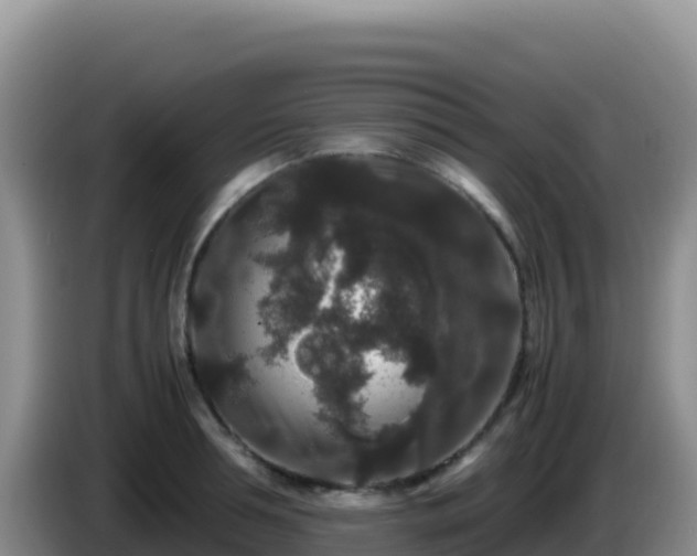 X0000086260994200704051258