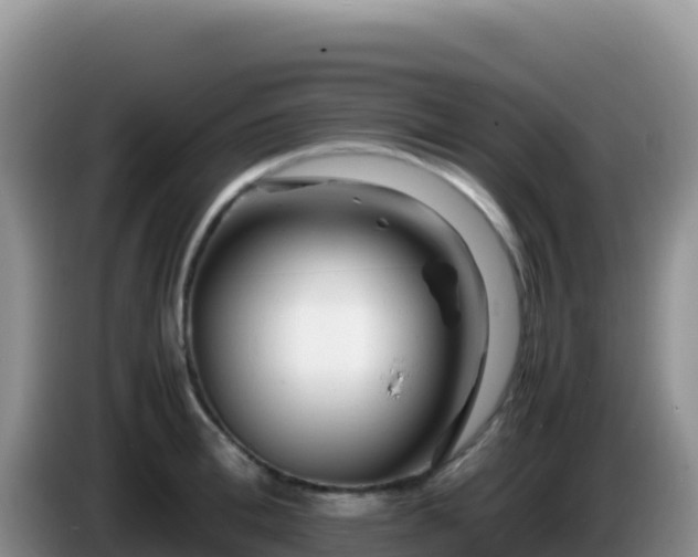 X0000086260996200704051258