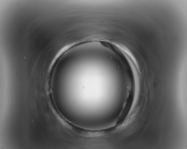 X0000086260997200704051258