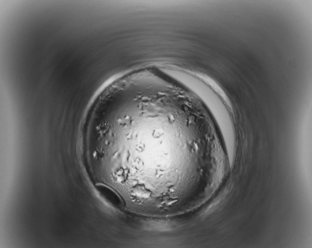 X0000086260999200704051258
