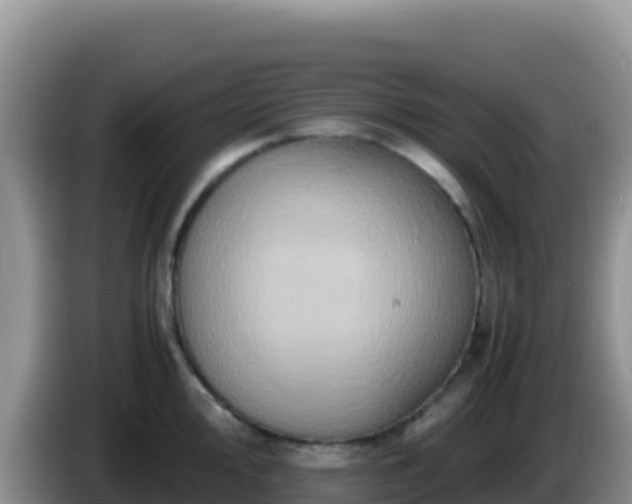 X0000086261000200704051258