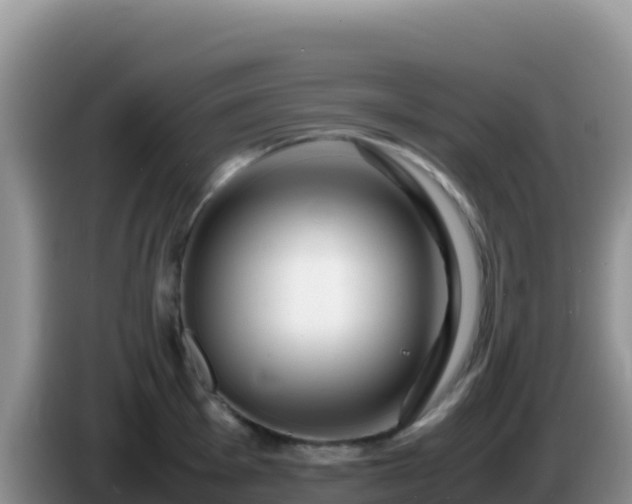 X0000086261001200704051258