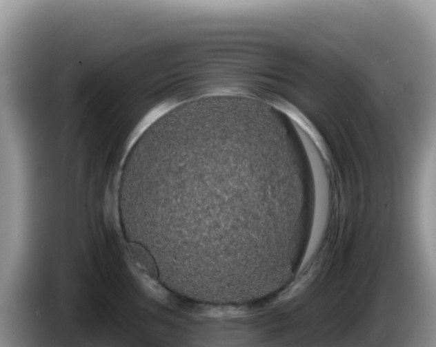 X0000086261002200704051258