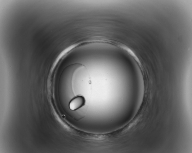 X0000086261003200704051258