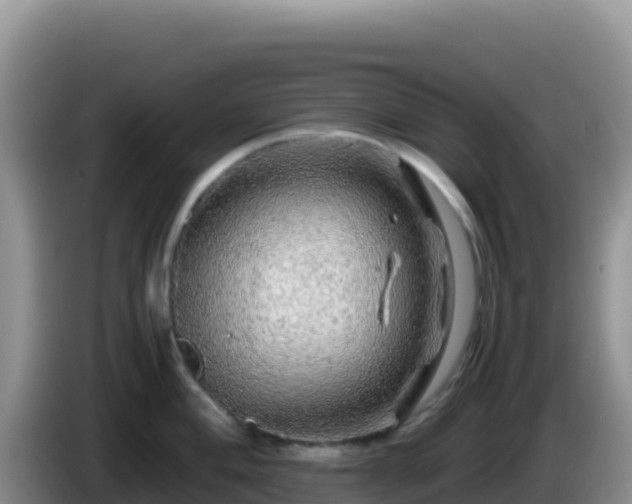 X0000086261004200704051258