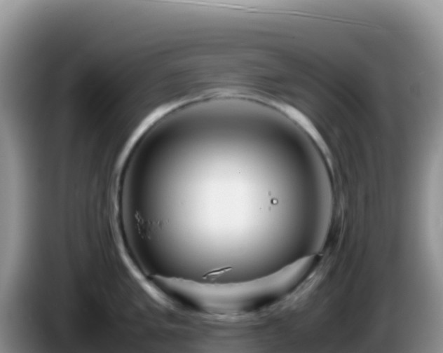 X0000086261005200704051258