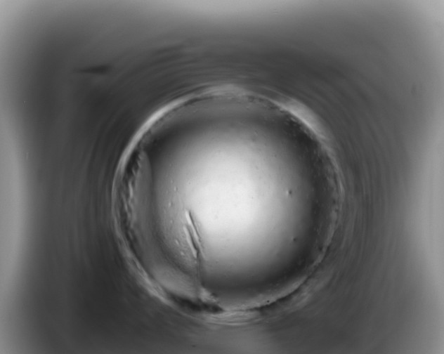 X0000086261008200704051258