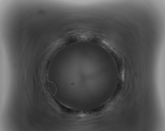 X0000086261009200704051258