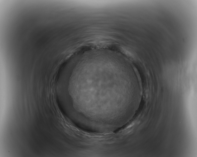 X0000086261010200704051258