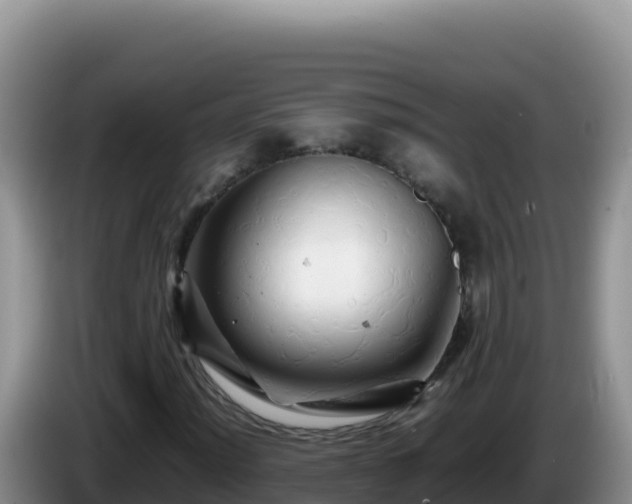 X0000086261012200704051258