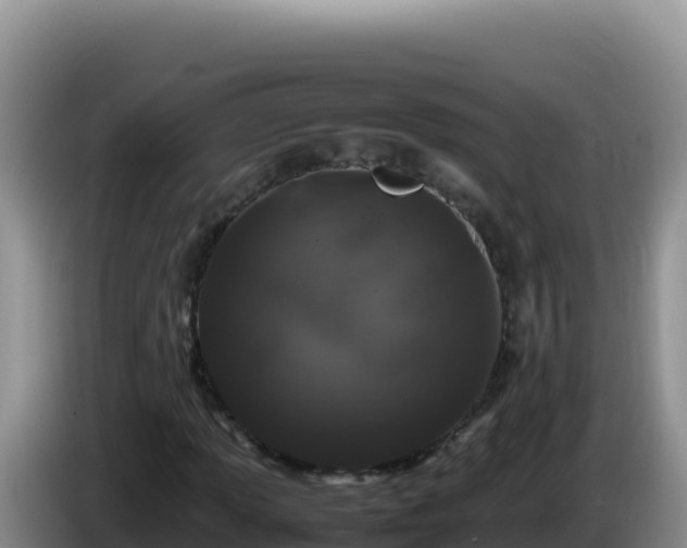 X0000086261013200704051258
