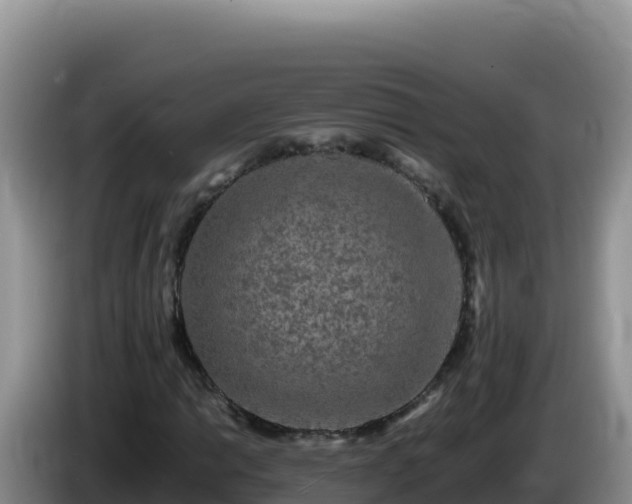 X0000086261014200704051258