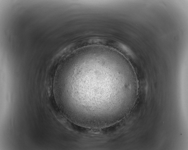 X0000086261015200704051258