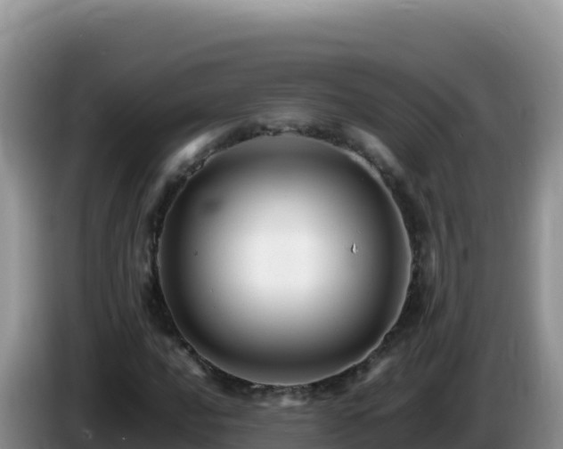 X0000086261016200704051258