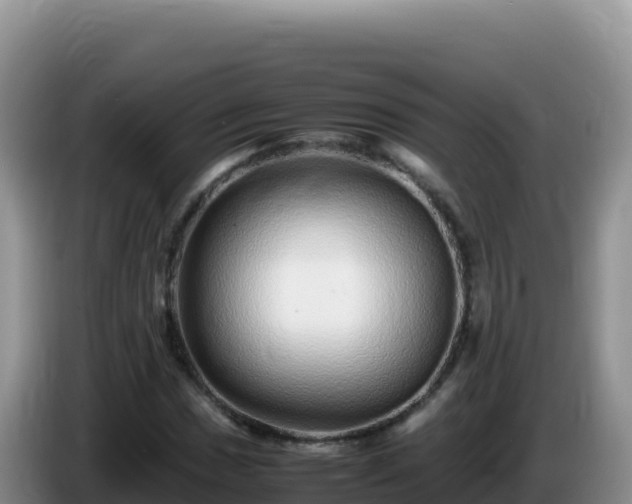 X0000086261017200704051258