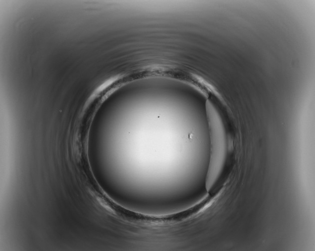 X0000086261018200704051258