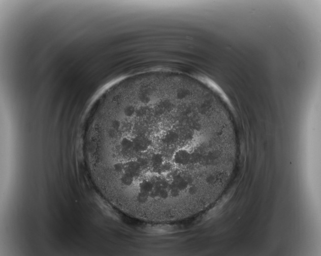 X0000086261019200704051258