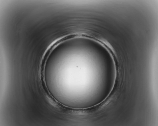 X0000086261020200704051258