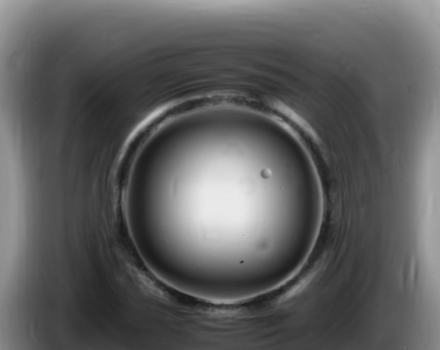 X0000086261021200704051258