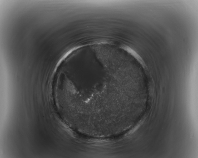 X0000086261023200704051258