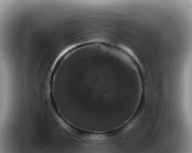 X0000086261024200704051258