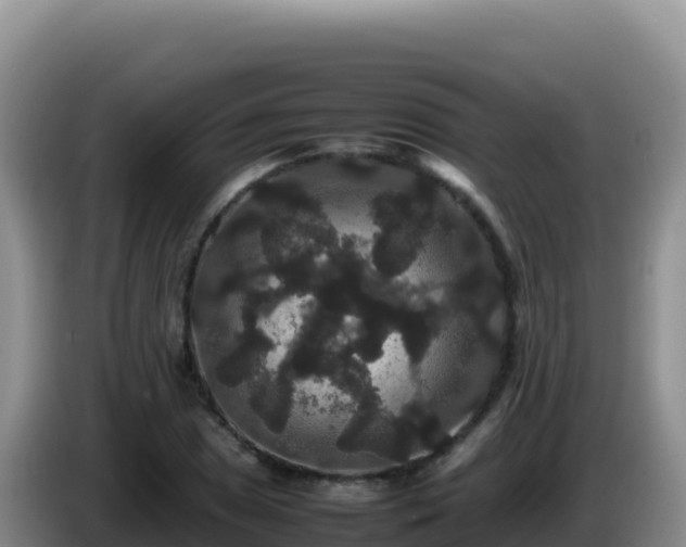 X0000086261025200704051258