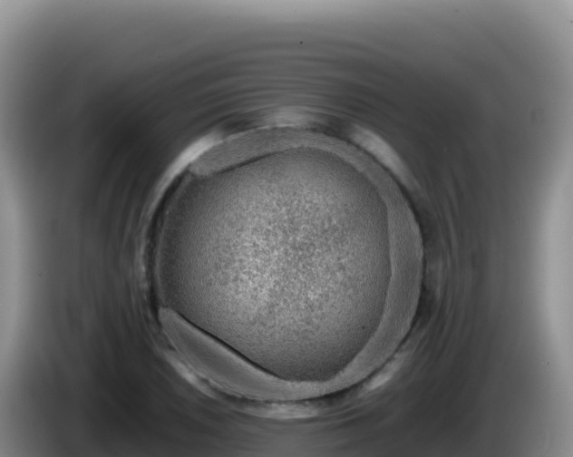 X0000086261026200704051258