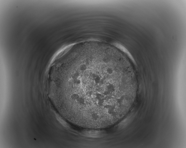X0000086261027200704051258