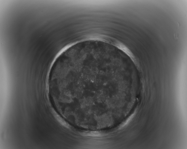 X0000086261028200704051258