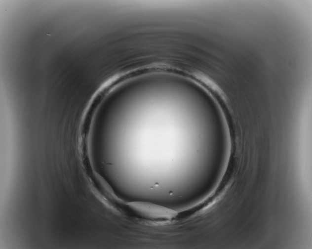 X0000086261029200704051258