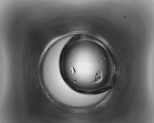 X0000086261030200704051258