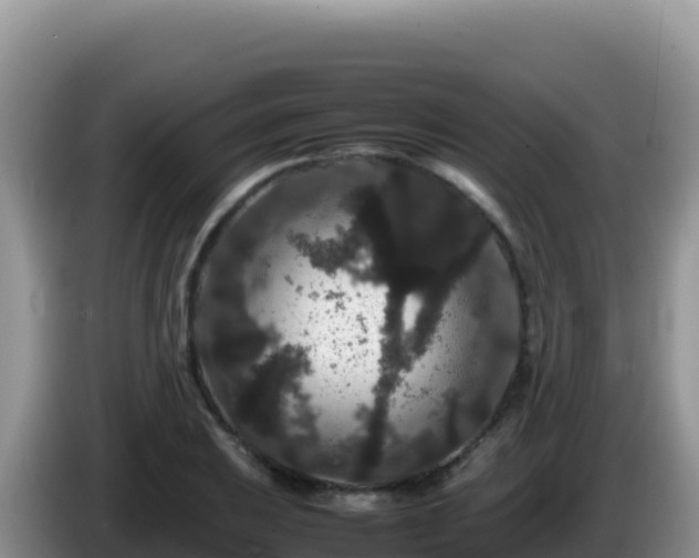 X0000086261031200704051258