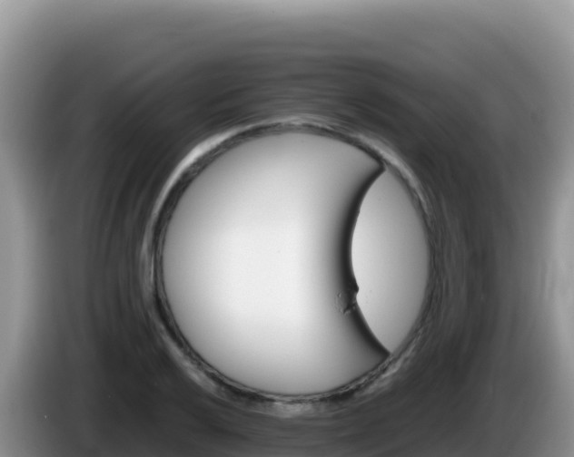 X0000086261032200704051258