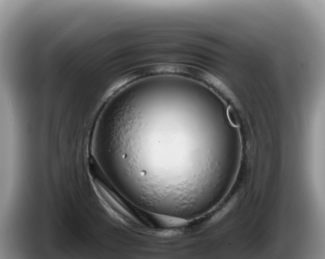 X0000086261033200704051258