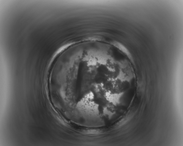 X0000086261035200704051258