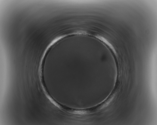 X0000086261037200704051258