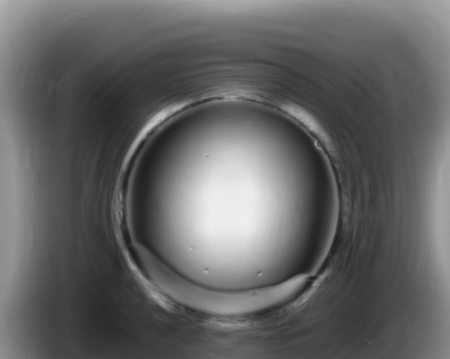 X0000086261040200704051258
