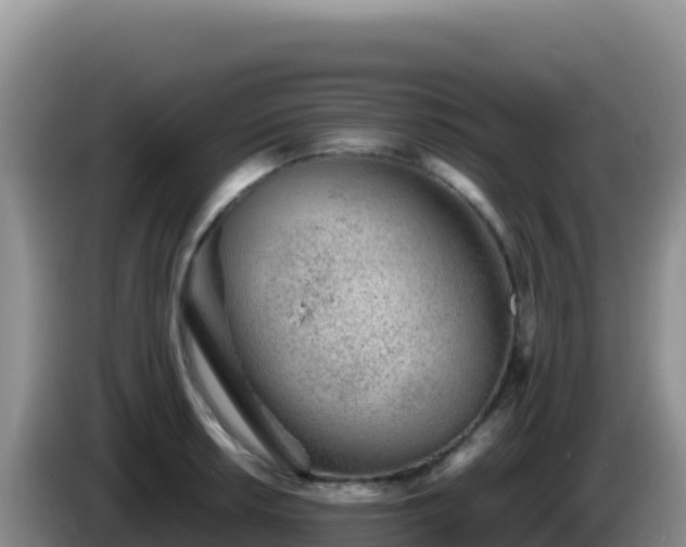 X0000086261042200704051258
