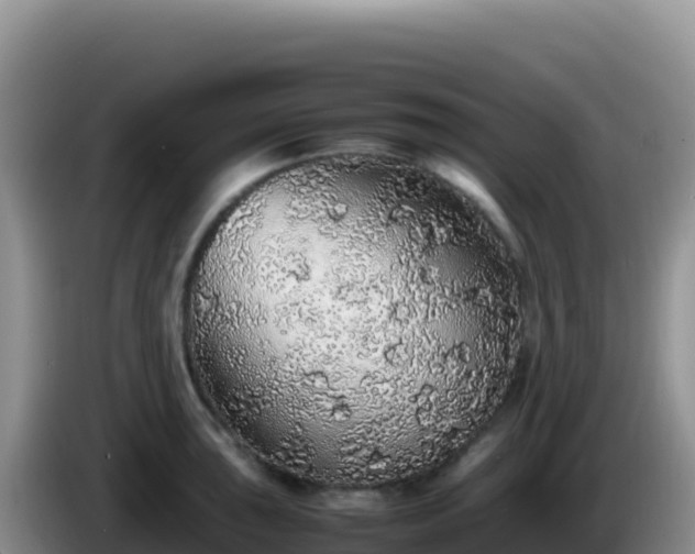 X0000086261043200704051258