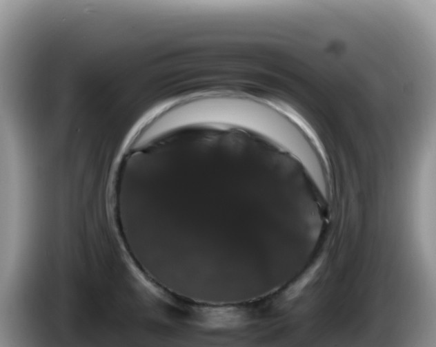 X0000086261045200704051258