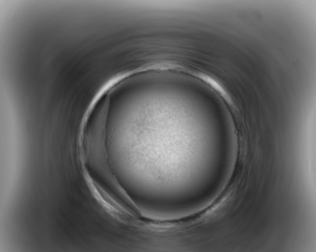 X0000086261046200704051258