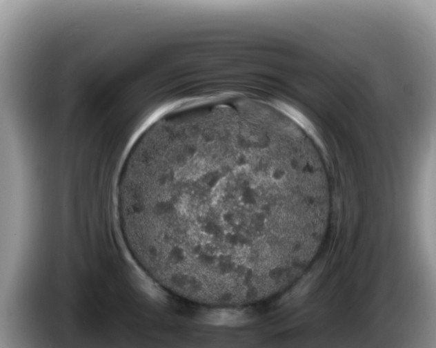 X0000086261047200704051258