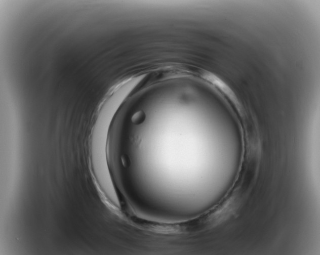 X0000086261049200704051258